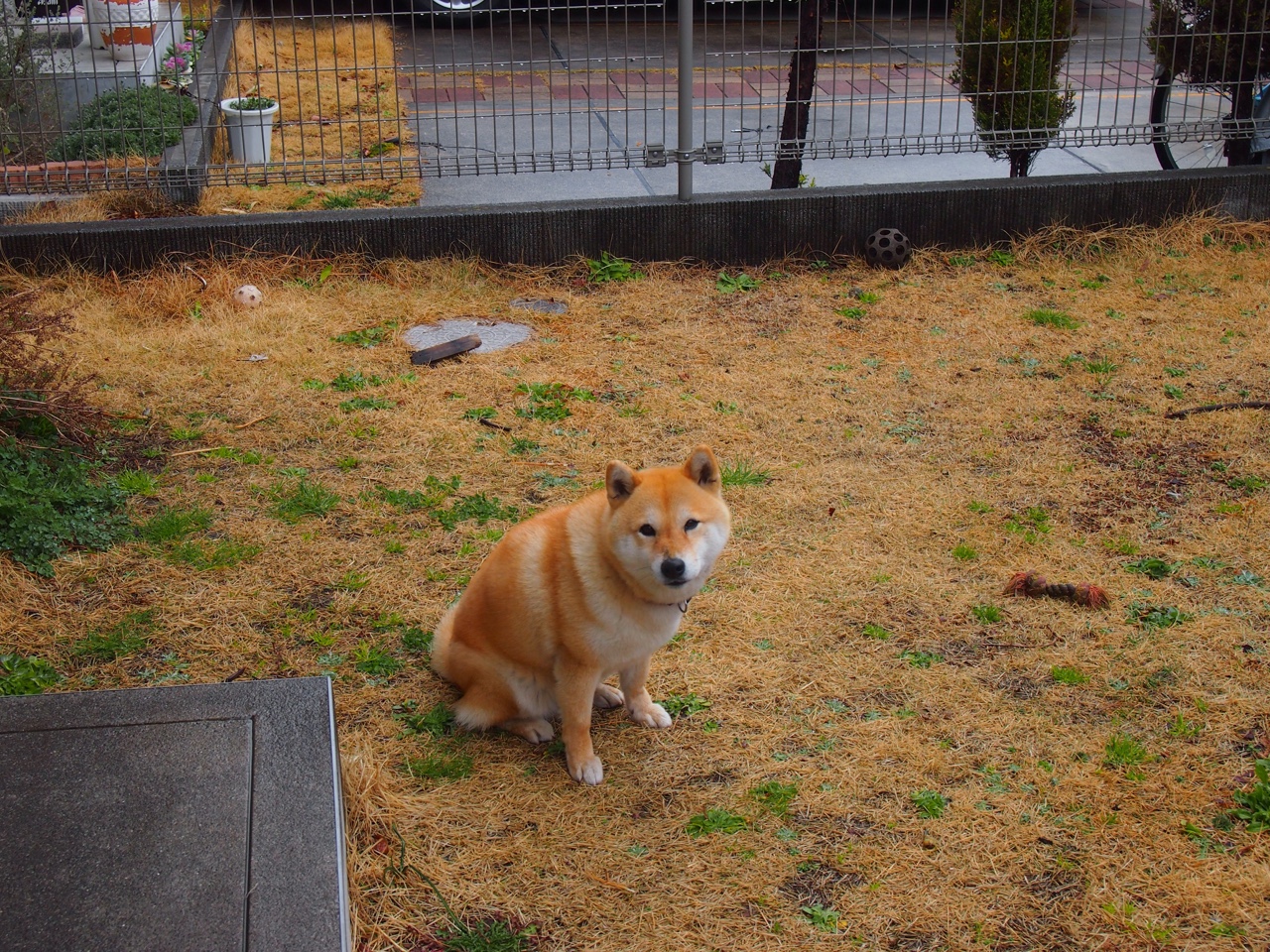 开云体育在线赛事直播-掘金核心复出帮助球队稳住阵脚，掘金主力球员名单