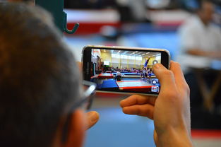 中国篮球联赛市场细分与精准营销研究，全国篮球联赛优势