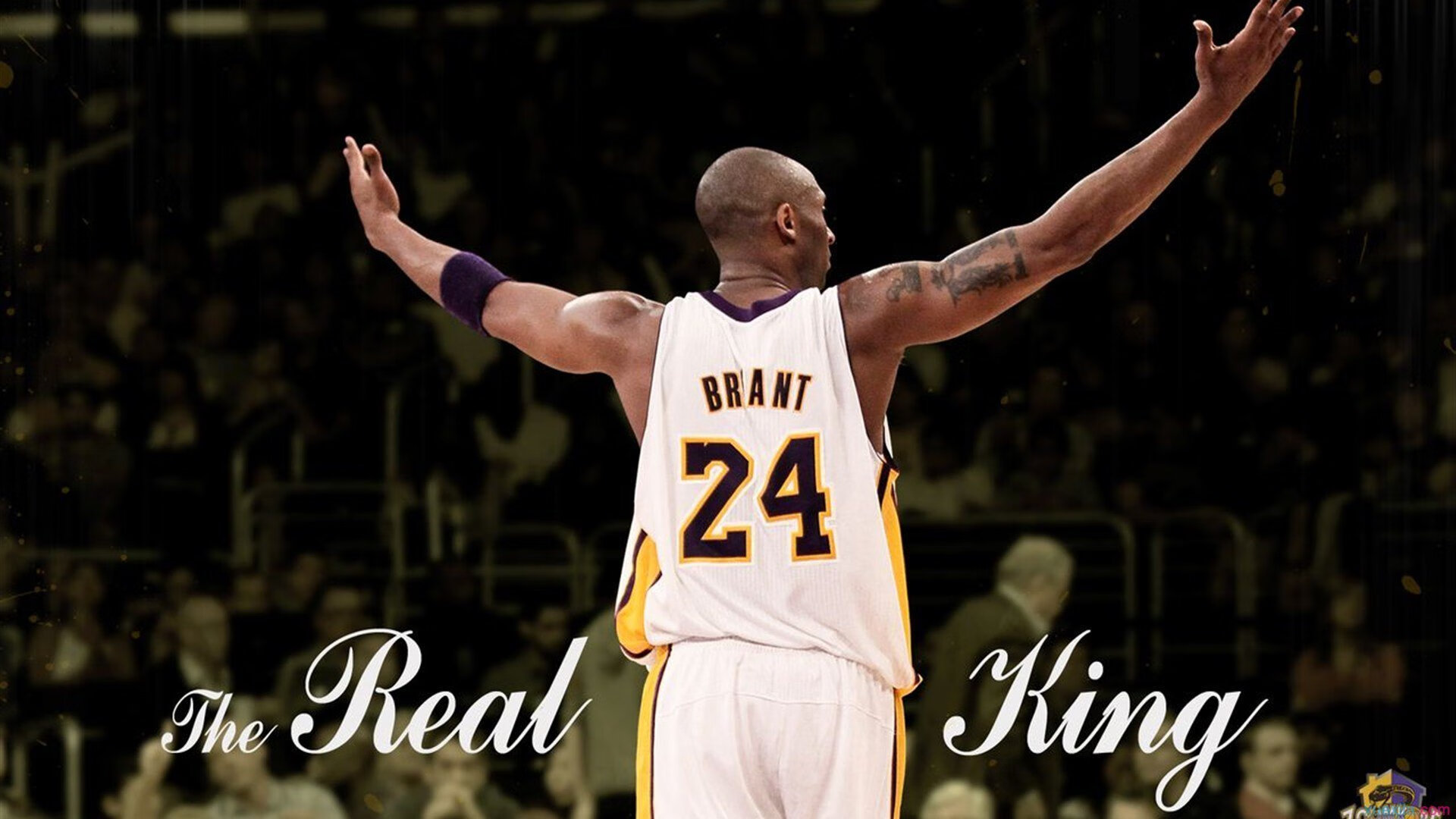 职业联赛品牌联动缺乏行业矩阵效应，联赛品牌价值